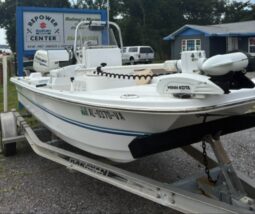 2017 Twin Vee 170 CC