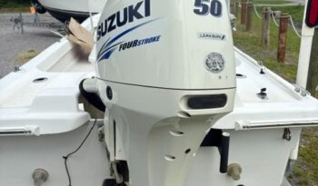 2017 Twin Vee 170 motor